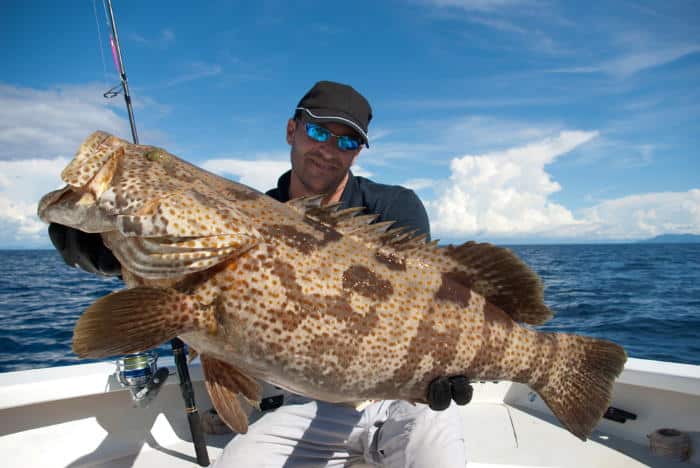 angler holding large grouper