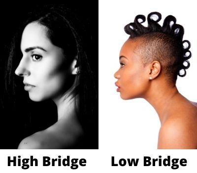 high and low nose bridges