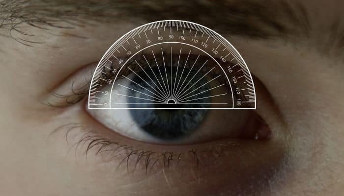 meridian lines on an eye
